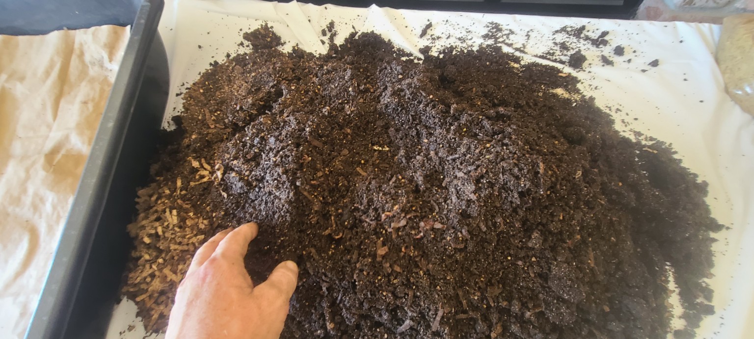 A hand checking dark material in a worm bin